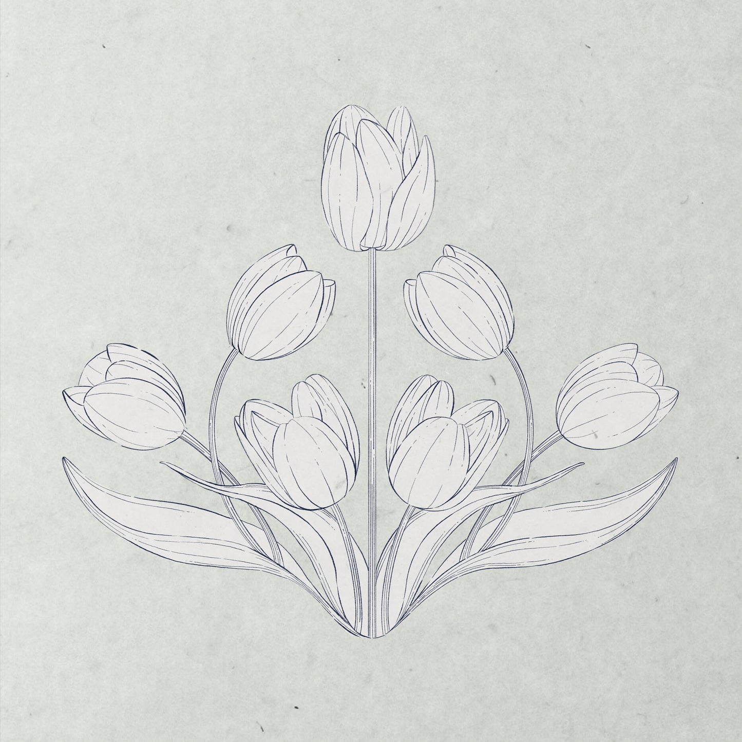 'Tulip Season' Digital Download