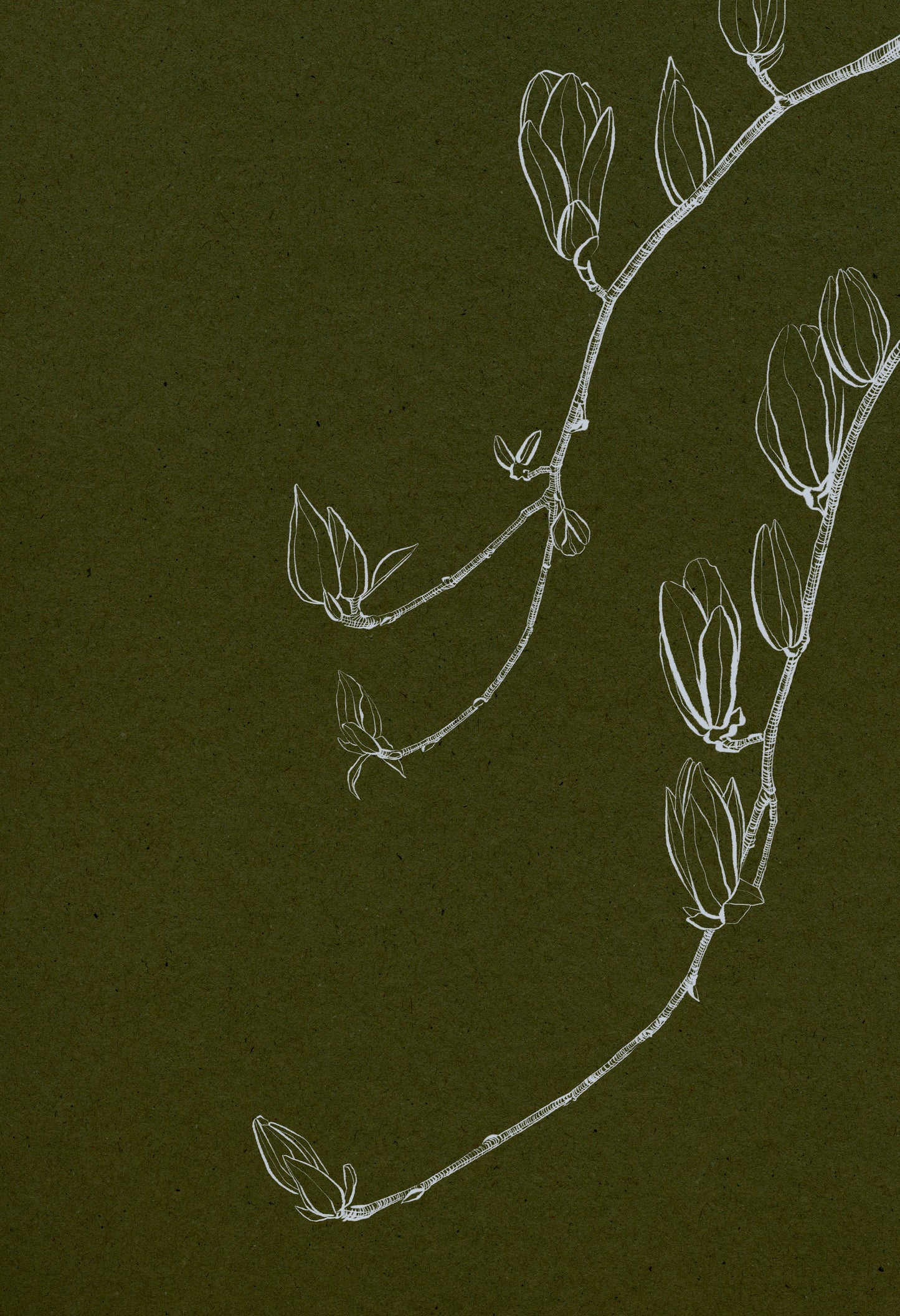 'Buds 1' Digital Download