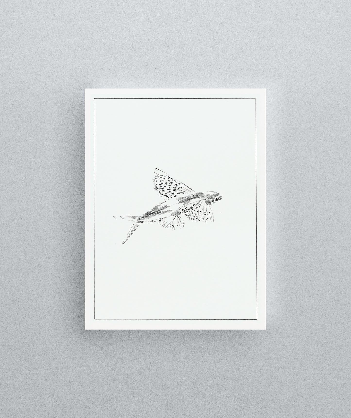 'Flying Fish' Unframed Print