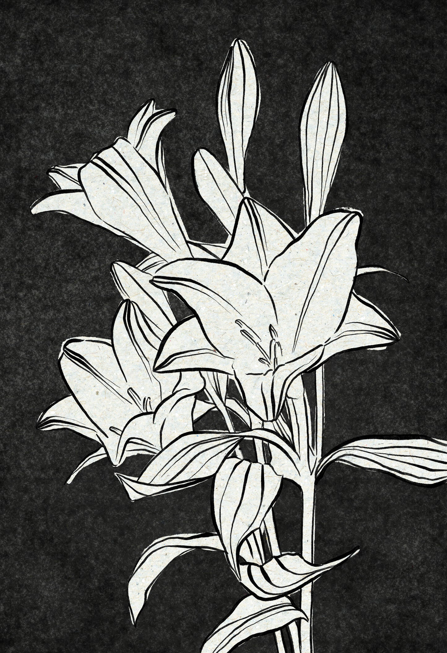 'Lily 1' Digital Download