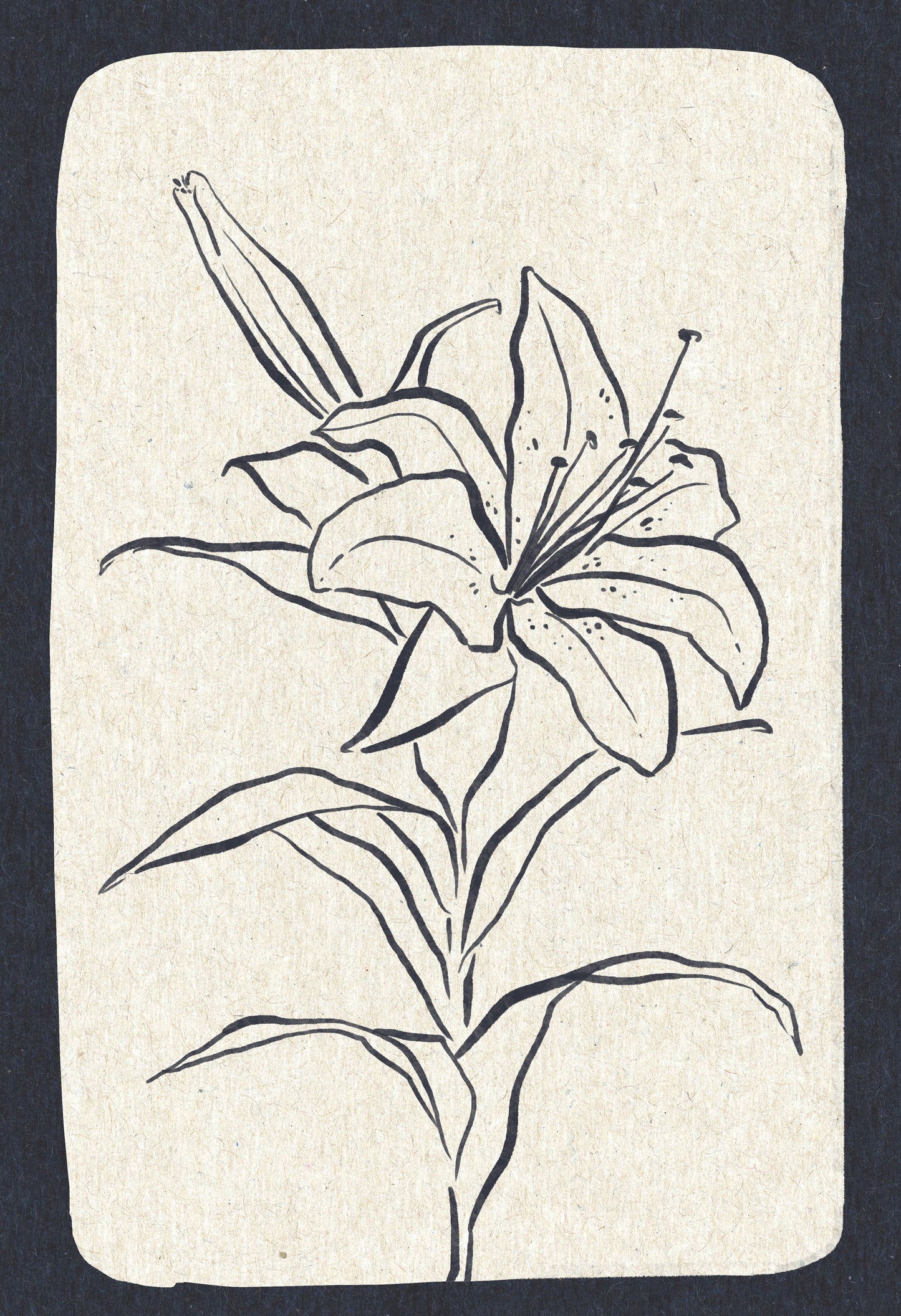 'Lily 2' Digital Download
