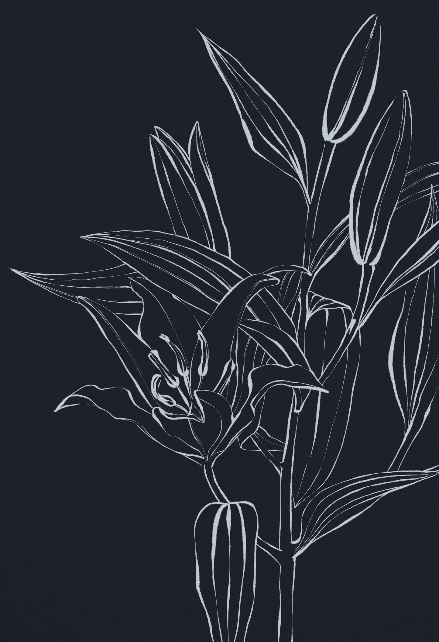 'Lily 3' Digital Download, Color Navy