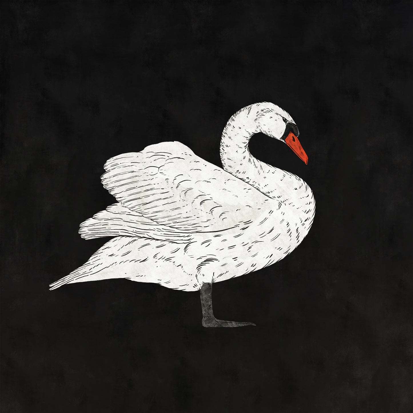 'Swan 1' Digital Download