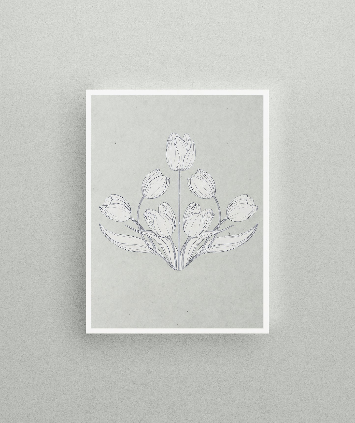 'Tulip Season' Unframed Print
