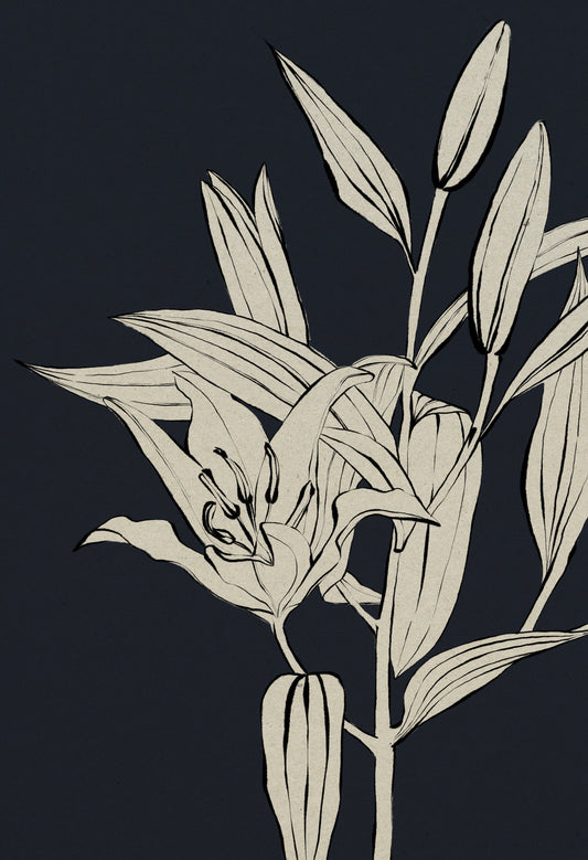 'Lily 3' Digital Download, Color Dark