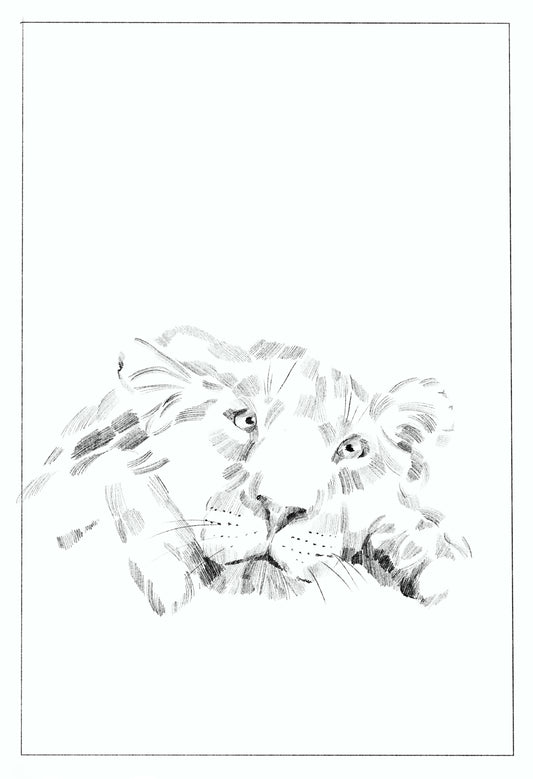 'Lion' Digital Download