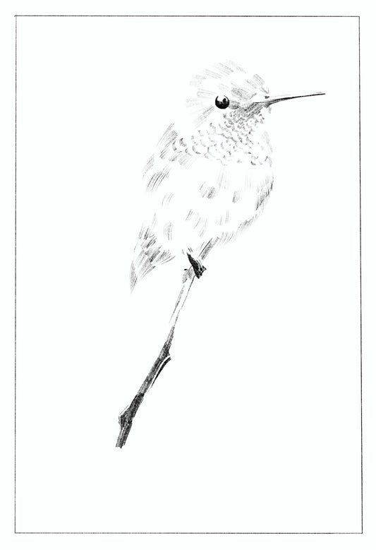 'Perched Bird' Digital Download